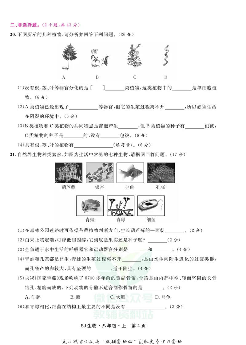 《名师练+考八年级上册生物苏教版_初中全科目同步习题+精品试卷（7-9年级）_25秋初中生物《同步习题+精品试卷》_初中生物试卷（苏教版）》第6页预览