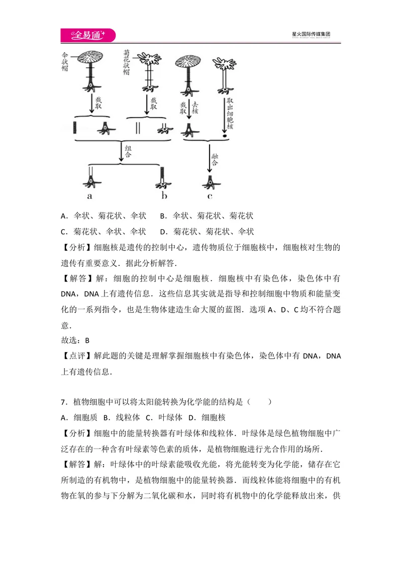 《初中生物七年级上人教版2.1章末2卷_初中全科目同步习题+精品试卷（7-9年级）_25秋初中生物《同步习题+精品试卷》_初中生物试卷（人教版）_《同步试题》_同步试题资源包（7A）》第4页预览