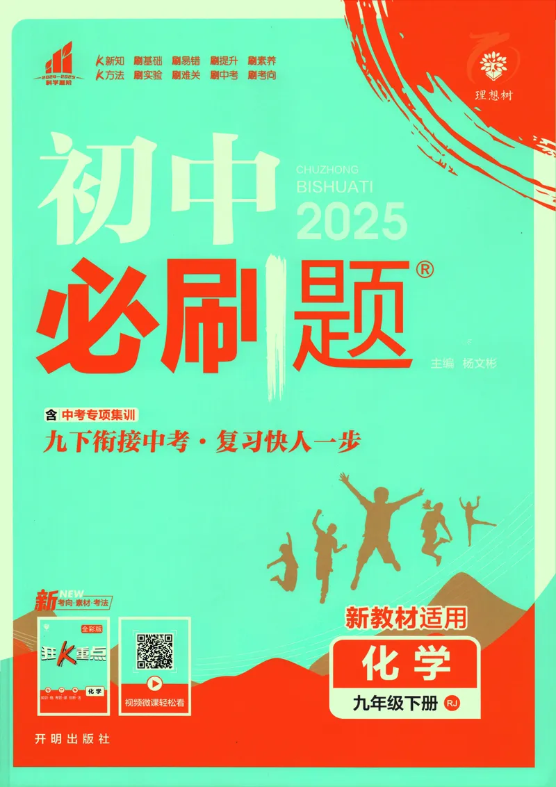 《初中必刷题-9下-化学人教版_初中全科目同步习题+精品试卷（7-9年级）_25秋初中化学《同步习题+精品试卷》_初中化学（人教版）试卷_《初中必刷题》2025春》第1页预览