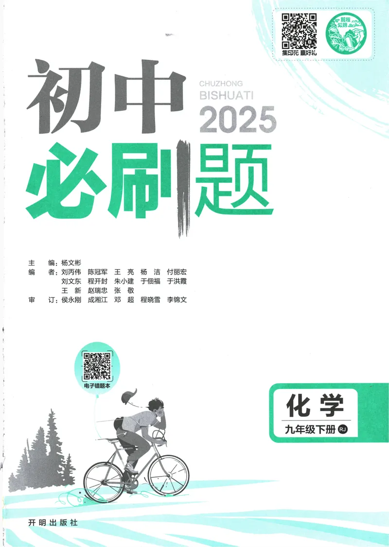 《初中必刷题-9下-化学人教版_初中全科目同步习题+精品试卷（7-9年级）_25秋初中化学《同步习题+精品试卷》_初中化学（人教版）试卷_《初中必刷题》2025春》第3页预览