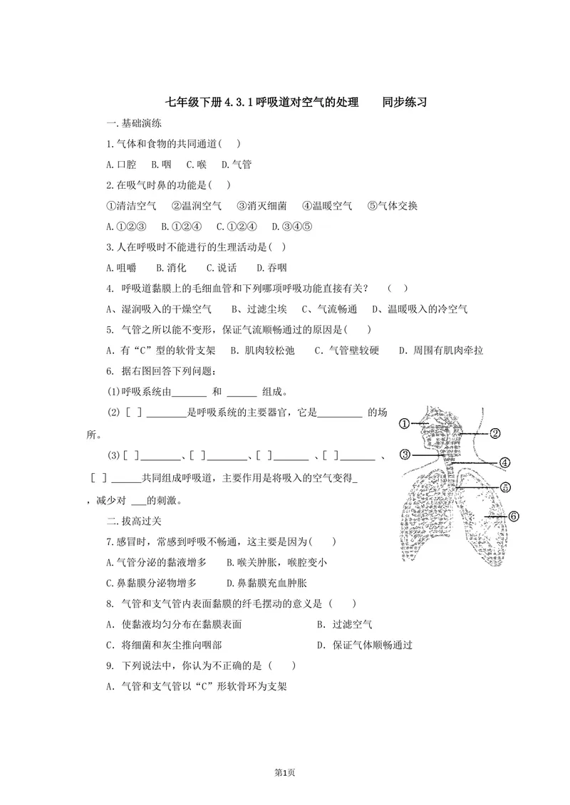 《呼吸道对空气的处理同步练习_初中全科目同步习题+精品试卷（7-9年级）_25秋初中生物《同步习题+精品试卷》_初中生物试卷（北师大）_《单元试卷》_单元试卷7B_第三章人体的呼吸》第1页预览