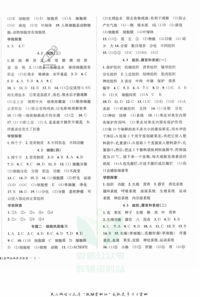 《名师金典七年级上册科学华师版参考答案_初中全科目同步习题+精品试卷（7-9年级）_25秋初中科学《同步习题+精品试卷》_《名师金典》》第6页预览