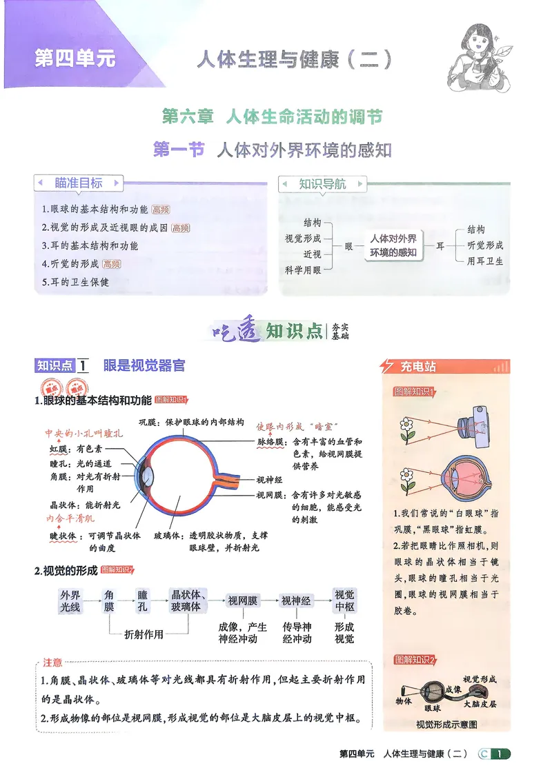 《生物8年级上册吃透重难点_25秋《53同步》初中系列_26版《53同步》八上全科_2026五三同步八上生物》第3页预览