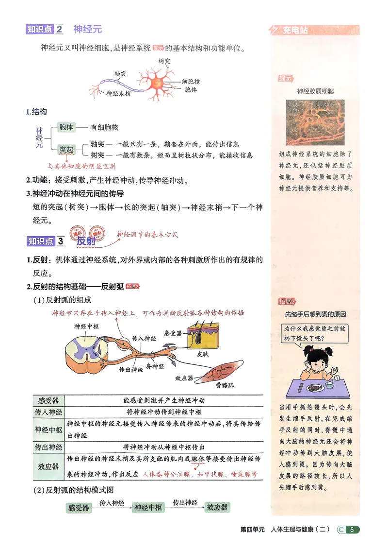 《生物8年级上册吃透重难点_25秋《53同步》初中系列_26版《53同步》八上全科_2026五三同步八上生物》第7页预览