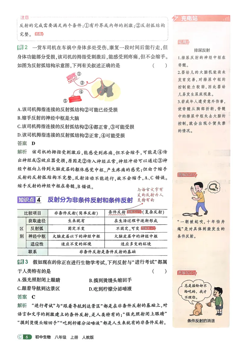 《生物8年级上册吃透重难点_25秋《53同步》初中系列_26版《53同步》八上全科_2026五三同步八上生物》第8页预览
