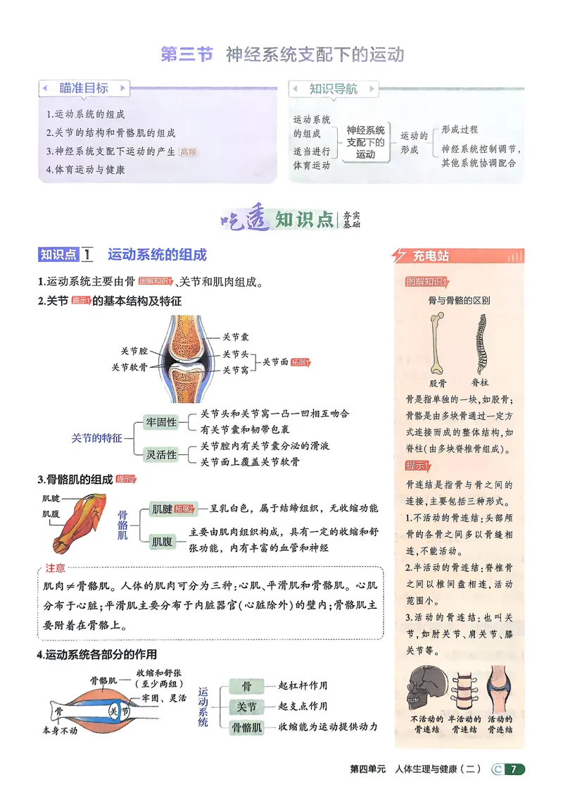 《生物8年级上册吃透重难点_25秋《53同步》初中系列_26版《53同步》八上全科_2026五三同步八上生物》第9页预览