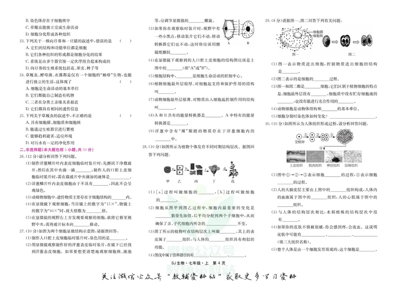 《名师练+考七年级上册生物苏教版_初中全科目同步习题+精品试卷（7-9年级）_25秋初中生物《同步习题+精品试卷》_初中生物试卷（苏教版）》第4页预览