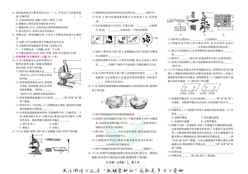 《名师练+考七年级上册生物苏教版_初中全科目同步习题+精品试卷（7-9年级）_25秋初中生物《同步习题+精品试卷》_初中生物试卷（苏教版）》第6页预览