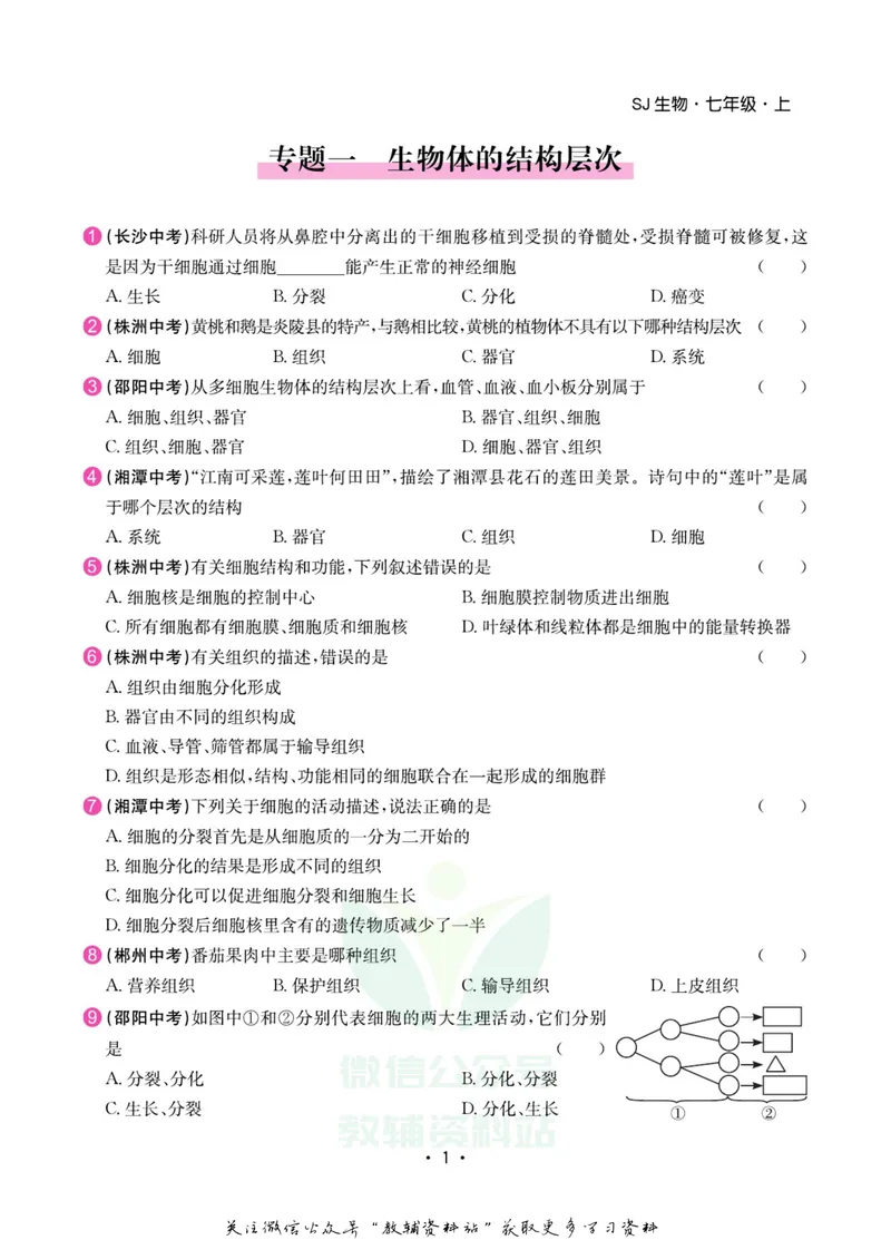 《名师练+考七年级上册生物苏教版专题巩固特训_初中全科目同步习题+精品试卷（7-9年级）_25秋初中生物《同步习题+精品试卷》_初中生物试卷（苏教版）》第2页预览