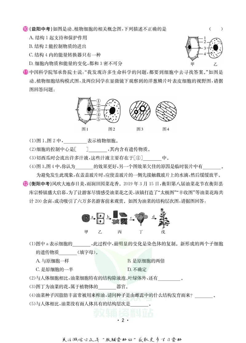 《名师练+考七年级上册生物苏教版专题巩固特训_初中全科目同步习题+精品试卷（7-9年级）_25秋初中生物《同步习题+精品试卷》_初中生物试卷（苏教版）》第3页预览