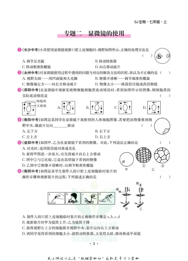《名师练+考七年级上册生物苏教版专题巩固特训_初中全科目同步习题+精品试卷（7-9年级）_25秋初中生物《同步习题+精品试卷》_初中生物试卷（苏教版）》第4页预览
