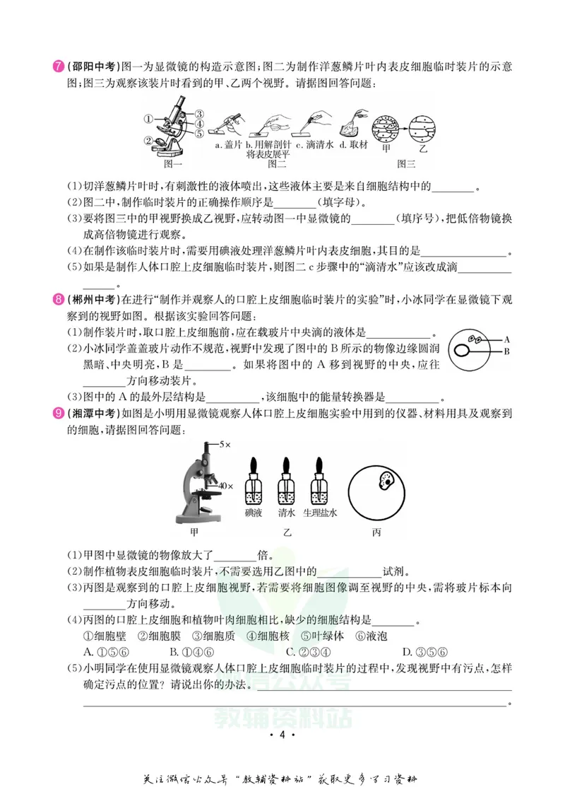 《名师练+考七年级上册生物苏教版专题巩固特训_初中全科目同步习题+精品试卷（7-9年级）_25秋初中生物《同步习题+精品试卷》_初中生物试卷（苏教版）》第5页预览