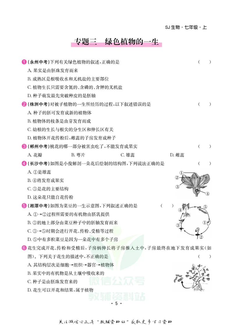 《名师练+考七年级上册生物苏教版专题巩固特训_初中全科目同步习题+精品试卷（7-9年级）_25秋初中生物《同步习题+精品试卷》_初中生物试卷（苏教版）》第6页预览