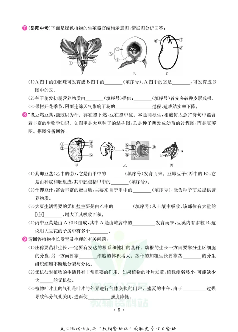 《名师练+考七年级上册生物苏教版专题巩固特训_初中全科目同步习题+精品试卷（7-9年级）_25秋初中生物《同步习题+精品试卷》_初中生物试卷（苏教版）》第7页预览