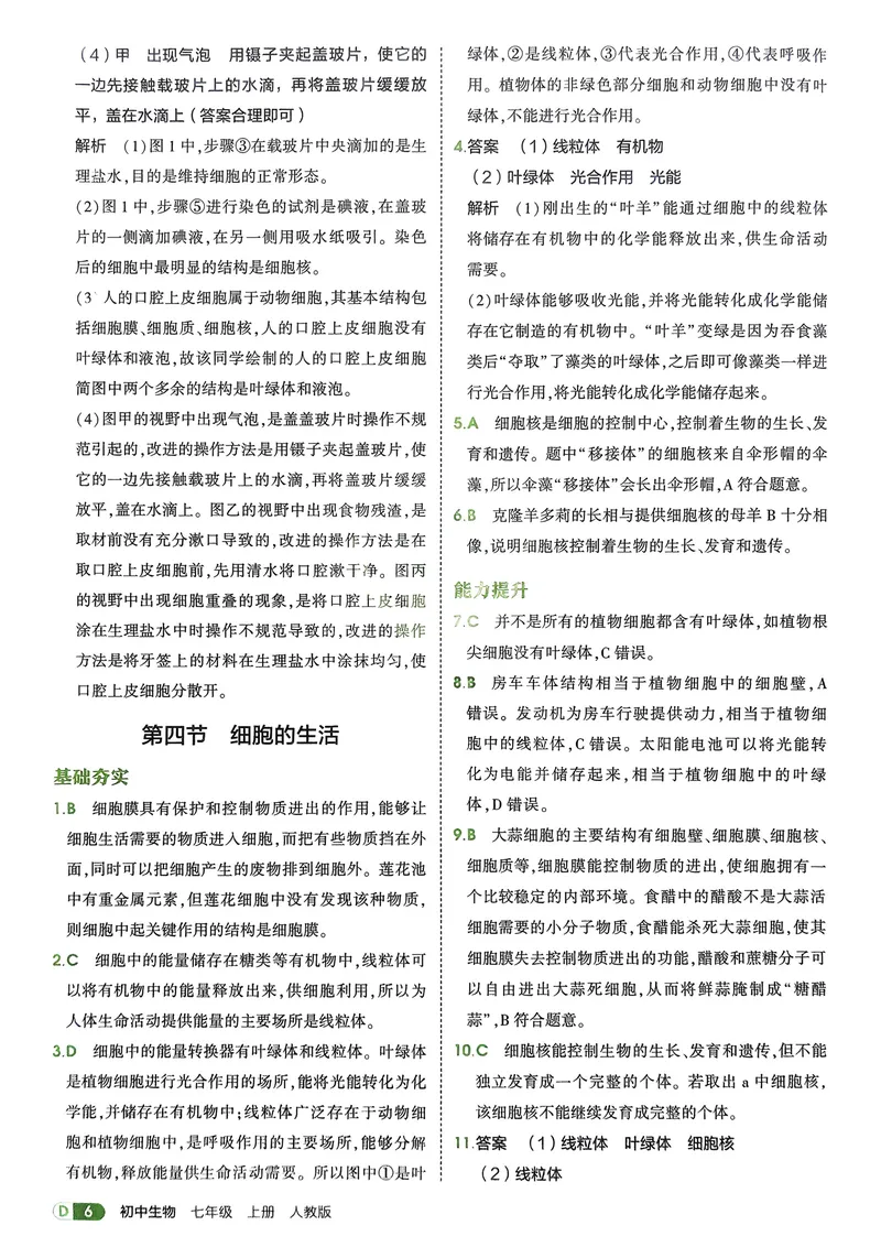 《2026《初中53同步》生物七上解析册_25秋《53同步》初中系列_26版《53同步》七上各科_2026五三同步七上生物》第8页预览