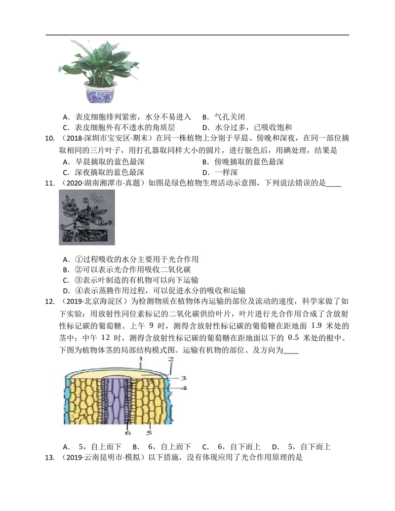 《北师大版七年级生物上册单元练习第5章绿色开花植物的生活方式(附解析）_初中全科目同步习题+精品试卷（7-9年级）_25秋初中生物《同步习题+精品试卷》_初中生物试卷（北师大）》第2页预览