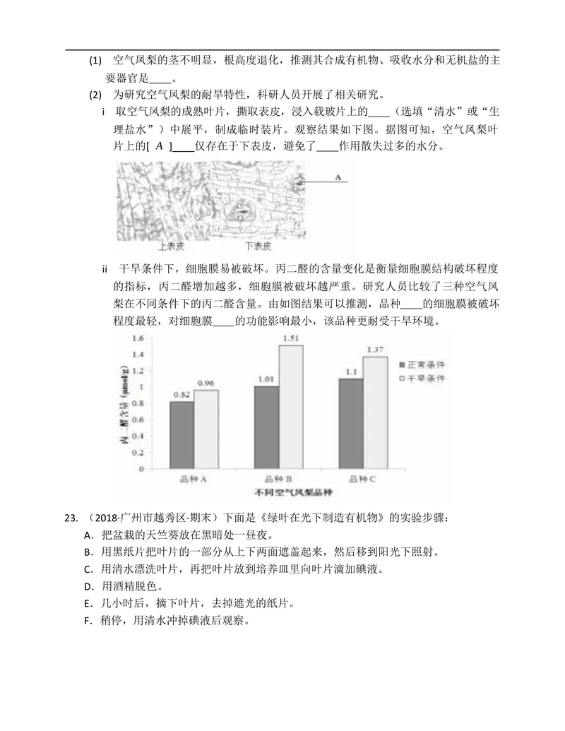 《北师大版七年级生物上册单元练习第5章绿色开花植物的生活方式(附解析）_初中全科目同步习题+精品试卷（7-9年级）_25秋初中生物《同步习题+精品试卷》_初中生物试卷（北师大）》第5页预览