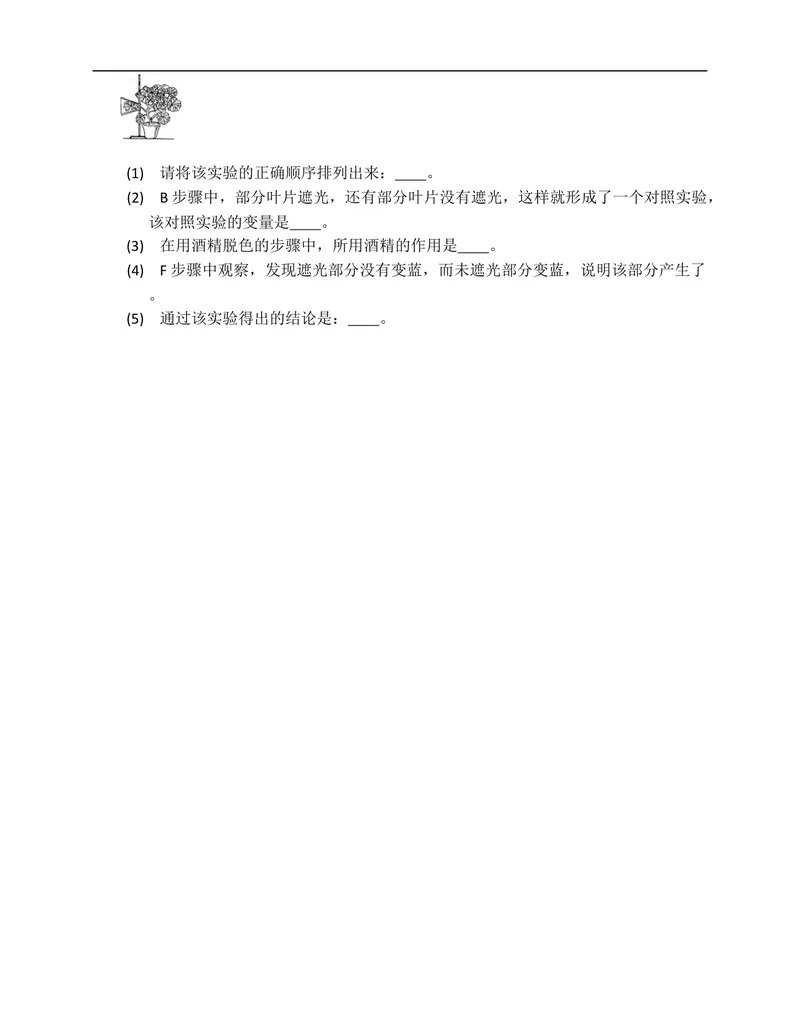 《北师大版七年级生物上册单元练习第5章绿色开花植物的生活方式(附解析）_初中全科目同步习题+精品试卷（7-9年级）_25秋初中生物《同步习题+精品试卷》_初中生物试卷（北师大）》第6页预览