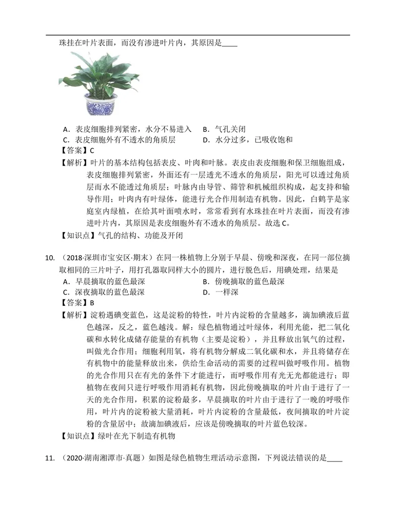 《北师大版七年级生物上册单元练习第5章绿色开花植物的生活方式(附解析）_初中全科目同步习题+精品试卷（7-9年级）_25秋初中生物《同步习题+精品试卷》_初中生物试卷（北师大）》第9页预览
