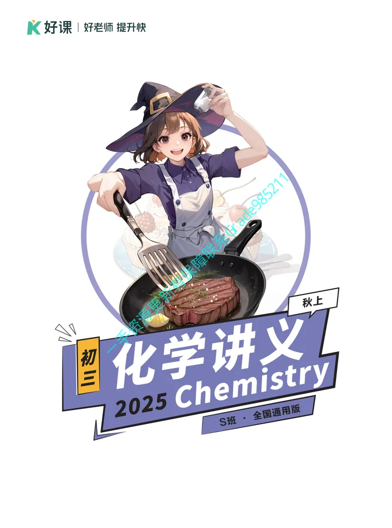 《01.2025秋上初三化学讲义｜S班｜全国通用版_26初三网课_2026初三化学杨雯智_2025初三秋上实验科学自主学习·TY·S（3期）-杨雯智_课程资料》第1页预览