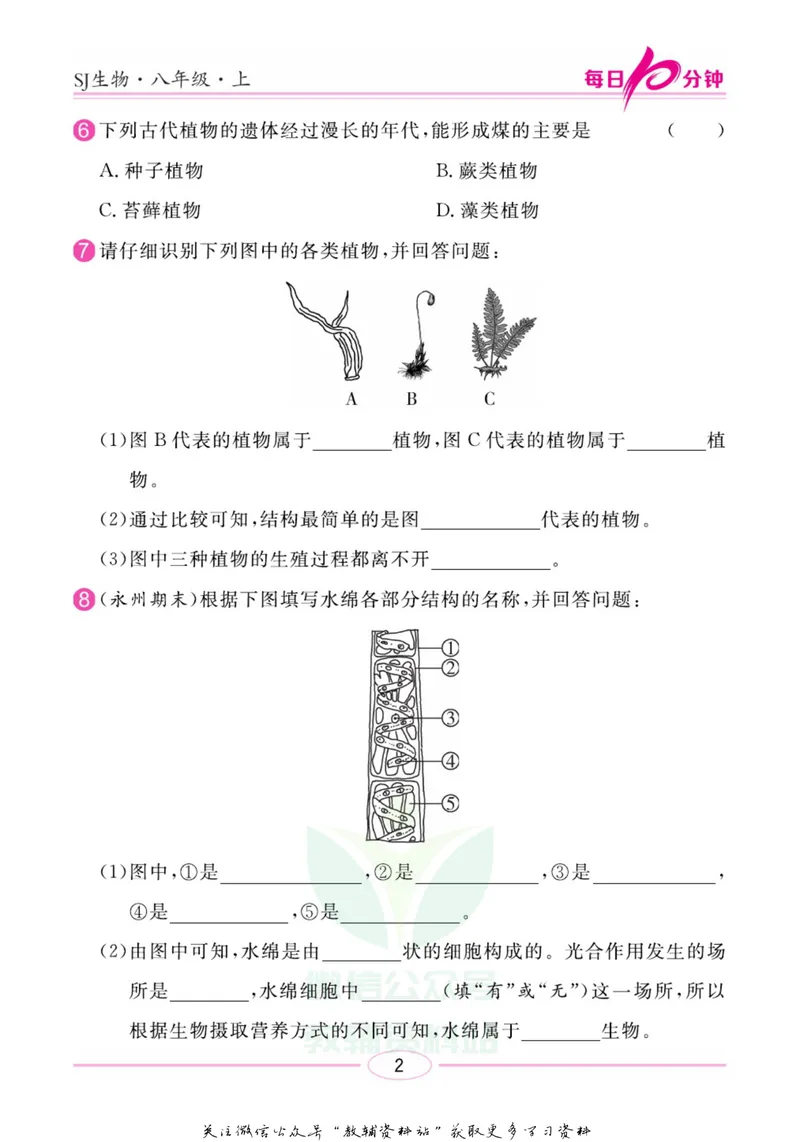 《名师练+考八年级上册生物苏教版每日十分钟_初中全科目同步习题+精品试卷（7-9年级）_25秋初中生物《同步习题+精品试卷》_初中生物试卷（苏教版）》第5页预览