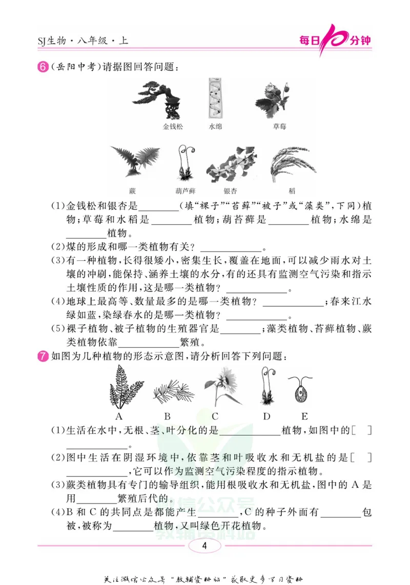 《名师练+考八年级上册生物苏教版每日十分钟_初中全科目同步习题+精品试卷（7-9年级）_25秋初中生物《同步习题+精品试卷》_初中生物试卷（苏教版）》第7页预览
