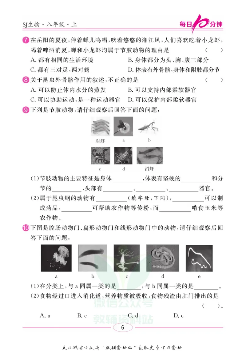 《名师练+考八年级上册生物苏教版每日十分钟_初中全科目同步习题+精品试卷（7-9年级）_25秋初中生物《同步习题+精品试卷》_初中生物试卷（苏教版）》第9页预览