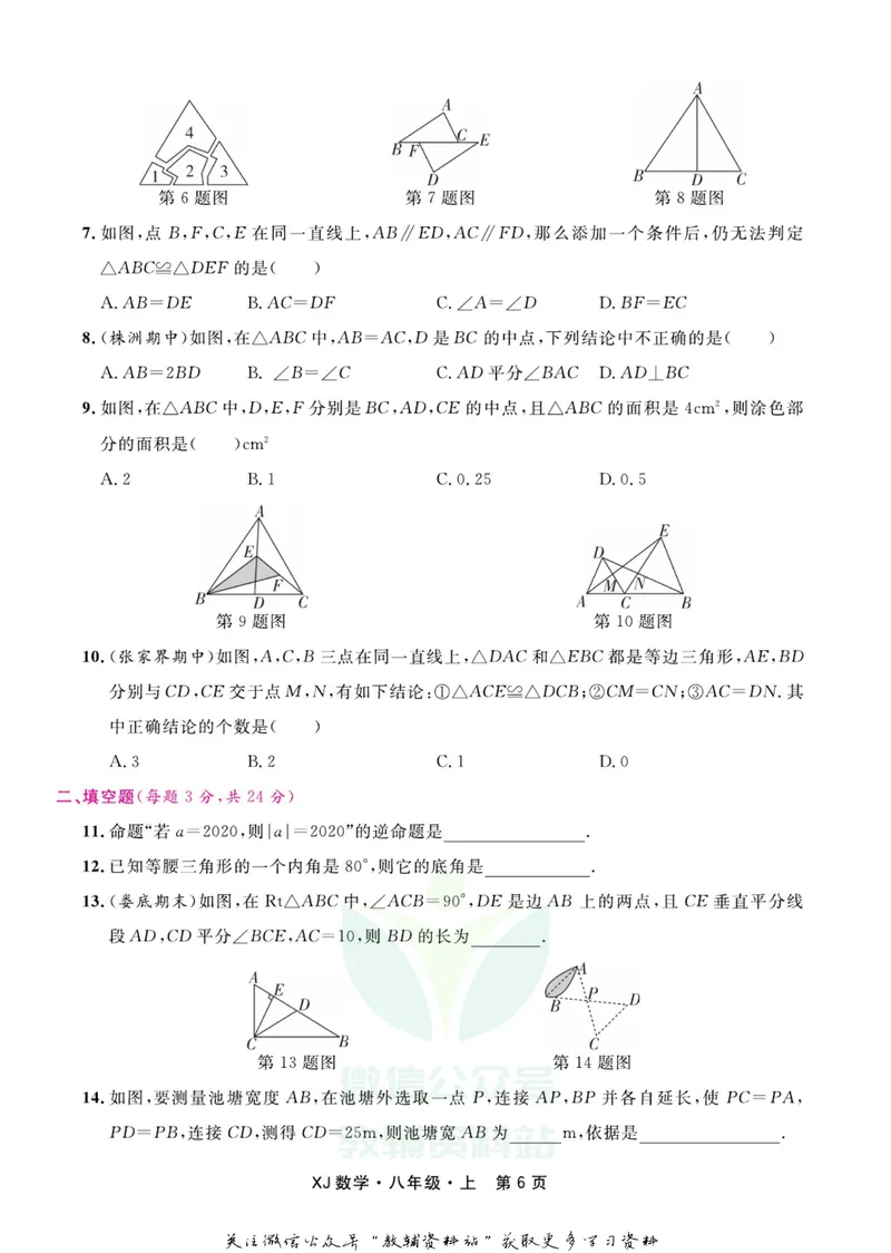 《名师练+考八年级上册数学湘教版_初中全科目同步习题+精品试卷（7-9年级）_25秋初中数学《同步习题+精品试卷》_初中数学湘教版试卷_《名师练加考》》第8页预览