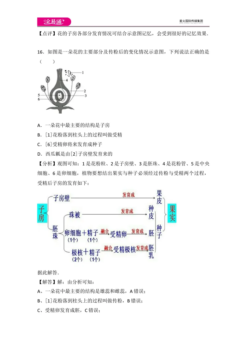 《初中生物七年级上人教版3.2章末卷_初中全科目同步习题+精品试卷（7-9年级）_25秋初中生物《同步习题+精品试卷》_初中生物试卷（人教版）_《同步试题》_同步试题资源包（7A）》第10页预览