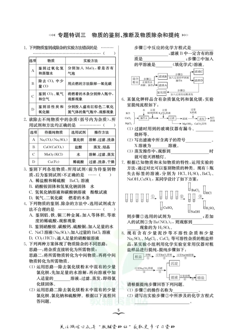 《名师金典九年级全册科学华师版专题特训_初中全科目同步习题+精品试卷（7-9年级）_25秋初中科学《同步习题+精品试卷》_《名师金典》》第8页预览
