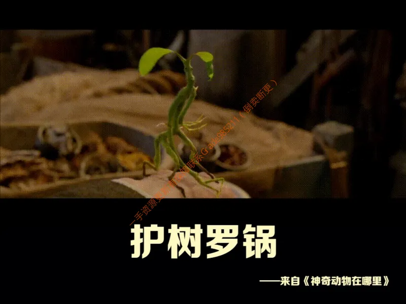 《858059_第10讲_观察草履虫笔记_26初一网课_2026初一生物张雨桐_初一生物培训班（秋上·全国版·A+）-张雨桐_12.观察草履虫》第7页预览