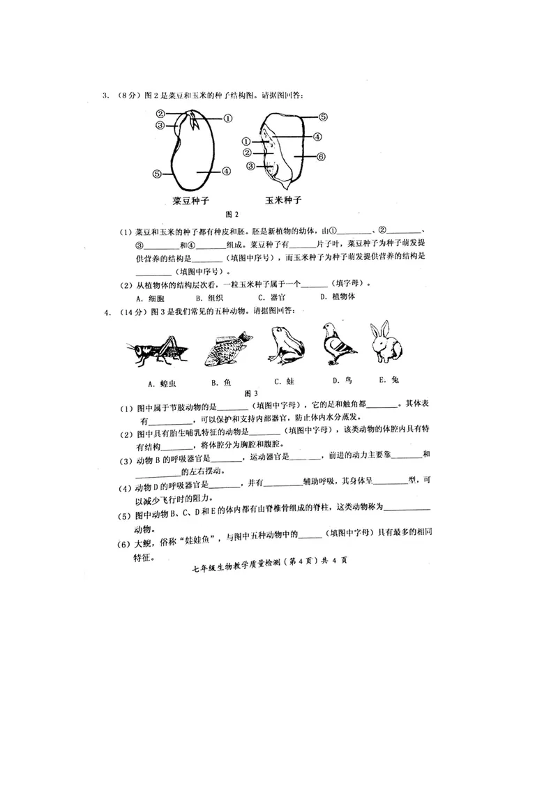 《广西防城港市2017-2018学年七年级上学期期末教学质量检测生物试题(图片版)_初中全科目同步习题+精品试卷(7-9年级)_25秋初中生物《同步习题+精品试卷》_初中生物试卷(冀少版)》第1页预览