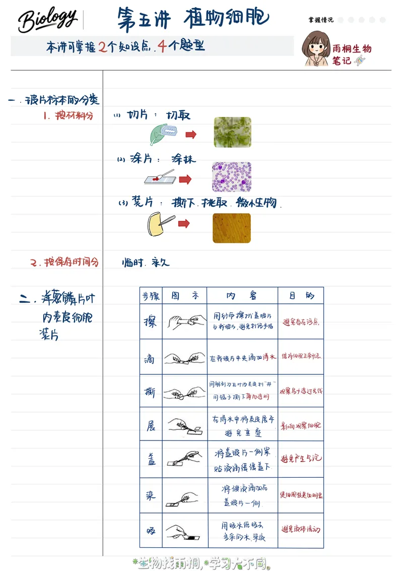 《2025秋季初一生物第五讲笔记_26初一网课_2026初一生物张雨桐_初一生物培训班（秋上·全国版·A+）-张雨桐_7.植物细胞》第1页预览