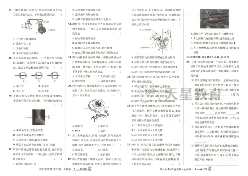 《2025金考卷中考试卷汇编45套河北生物_2025版金考卷《45套中考试卷汇编》初中7科全（全国、各地多版本）_2025版金考卷《45套中考试卷汇编》初中八科全套（河北）》第6页预览