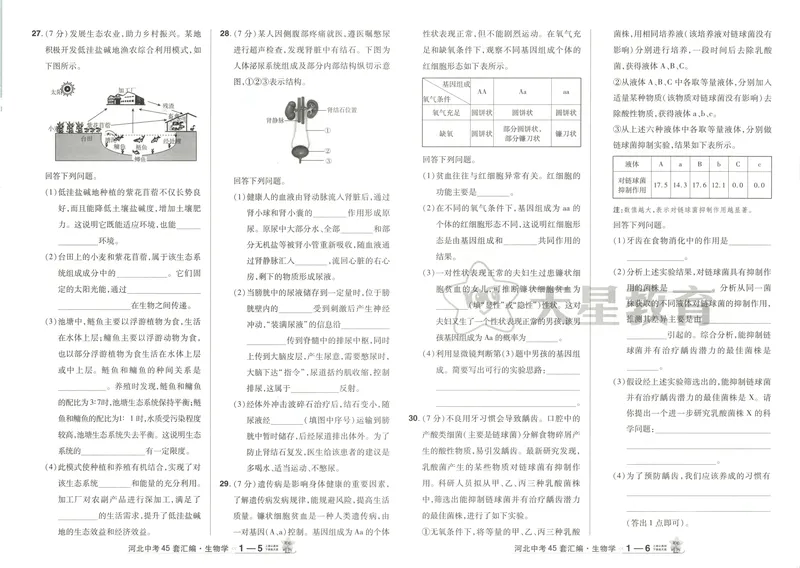 《2025金考卷中考试卷汇编45套河北生物_2025版金考卷《45套中考试卷汇编》初中7科全（全国、各地多版本）_2025版金考卷《45套中考试卷汇编》初中八科全套（河北）》第7页预览