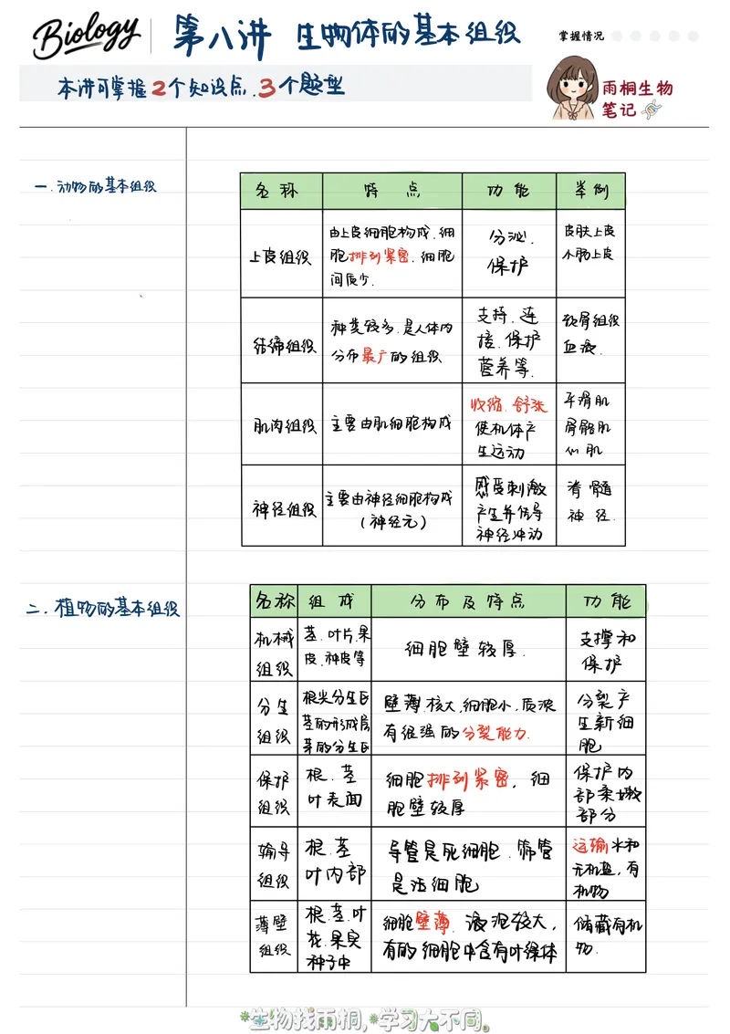 《2025秋季初一生物第八讲笔记_26初一网课_2026初一生物张雨桐_初一生物培训班（秋上·全国版·A+）-张雨桐_10.生物体的基本组织》第1页预览