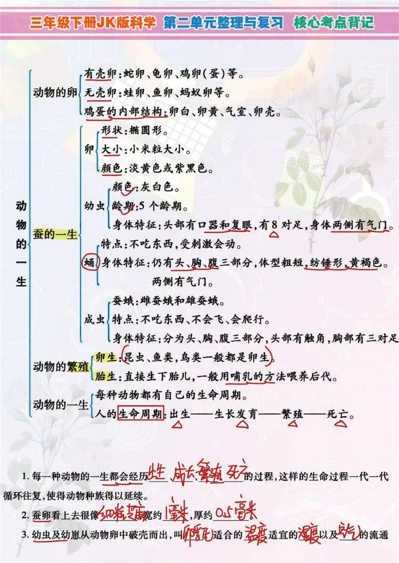 《小学3年级下科学JK版高分知识梳理导图，附单元考点背记_小学1-6年级全科全套_1-6年级全科下册_三年级_三年级下科学》第3页预览