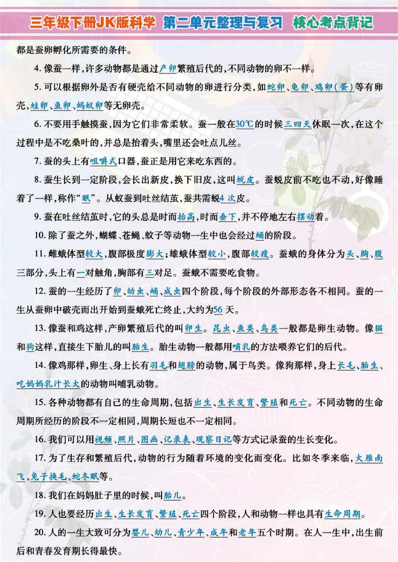 《小学3年级下科学JK版高分知识梳理导图，附单元考点背记_小学1-6年级全科全套_1-6年级全科下册_三年级_三年级下科学》第4页预览