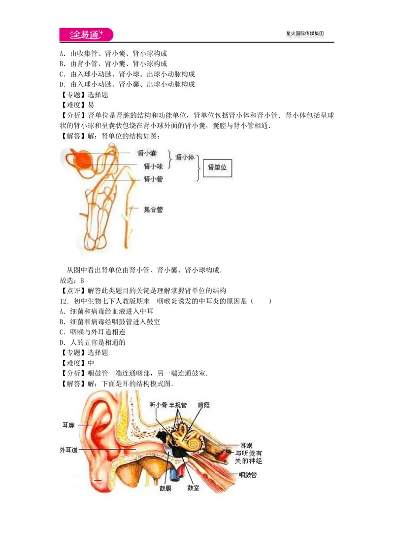 《期末1卷_初中全科目同步习题+精品试卷（7-9年级）_25秋初中生物《同步习题+精品试卷》_初中生物试卷（人教版）_《同步试题》_同步试题资源包（7B）_生物人教七下期中期末》第6页预览