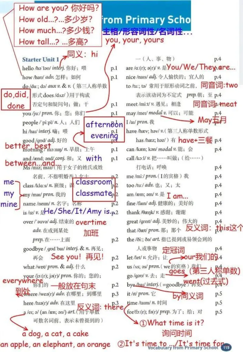 《2024年人教版七年级英语上册单词笔记小学部分词汇笔记_🌲七年级课堂笔记_2026版初中《新教材教材笔记+单词笔记》7年级上册（英语）（人教）》第1页预览