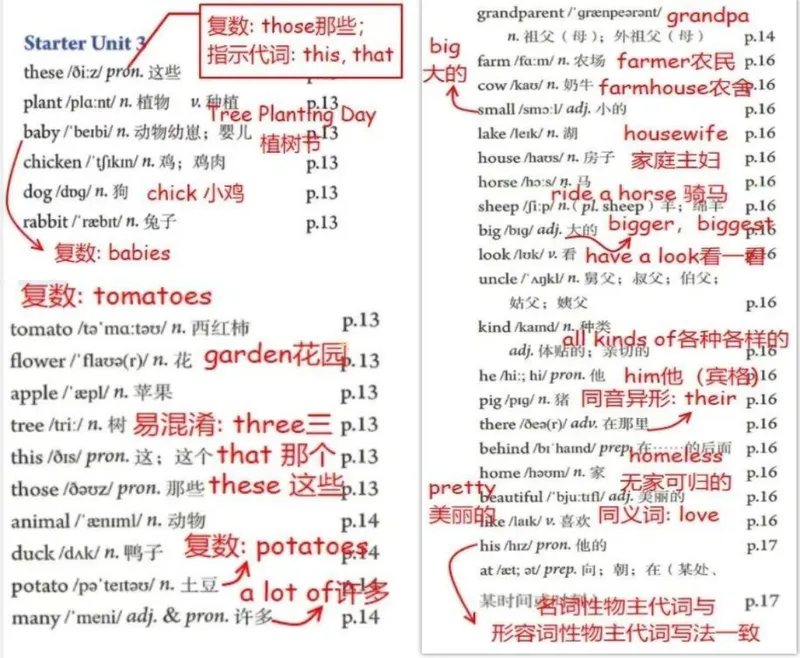 《2024年人教版七年级英语上册单词笔记小学部分词汇笔记_🌲七年级课堂笔记_2026版初中《新教材教材笔记+单词笔记》7年级上册（英语）（人教）》第3页预览