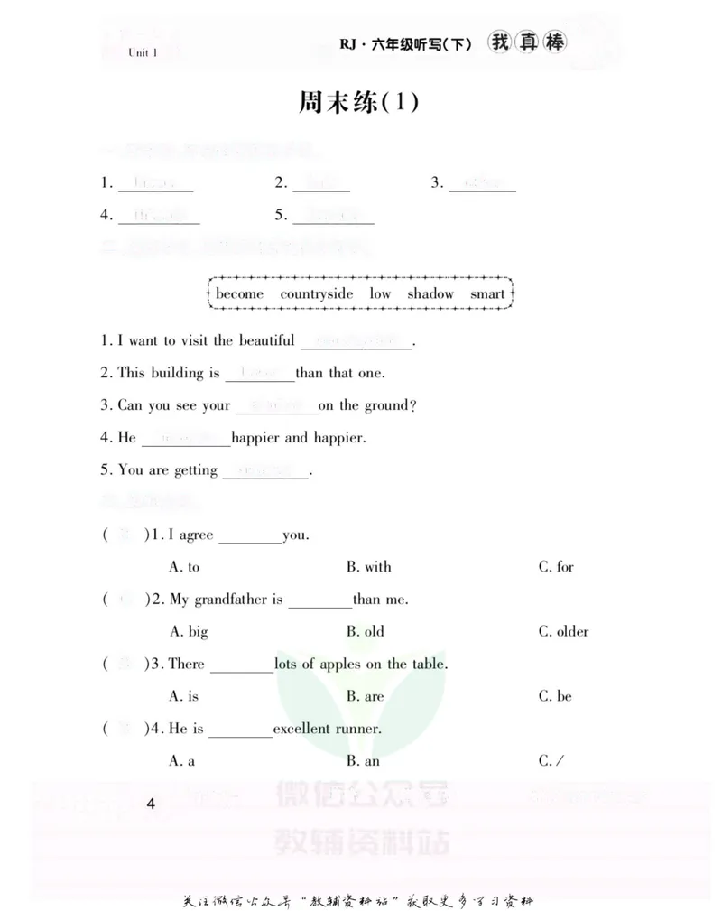 《我真棒六年级下册英语人教版去答案版_小学1-6年级全科全套_2024更新专题_小学英语专题资料_1~6年级全册听写我真棒》第7页预览