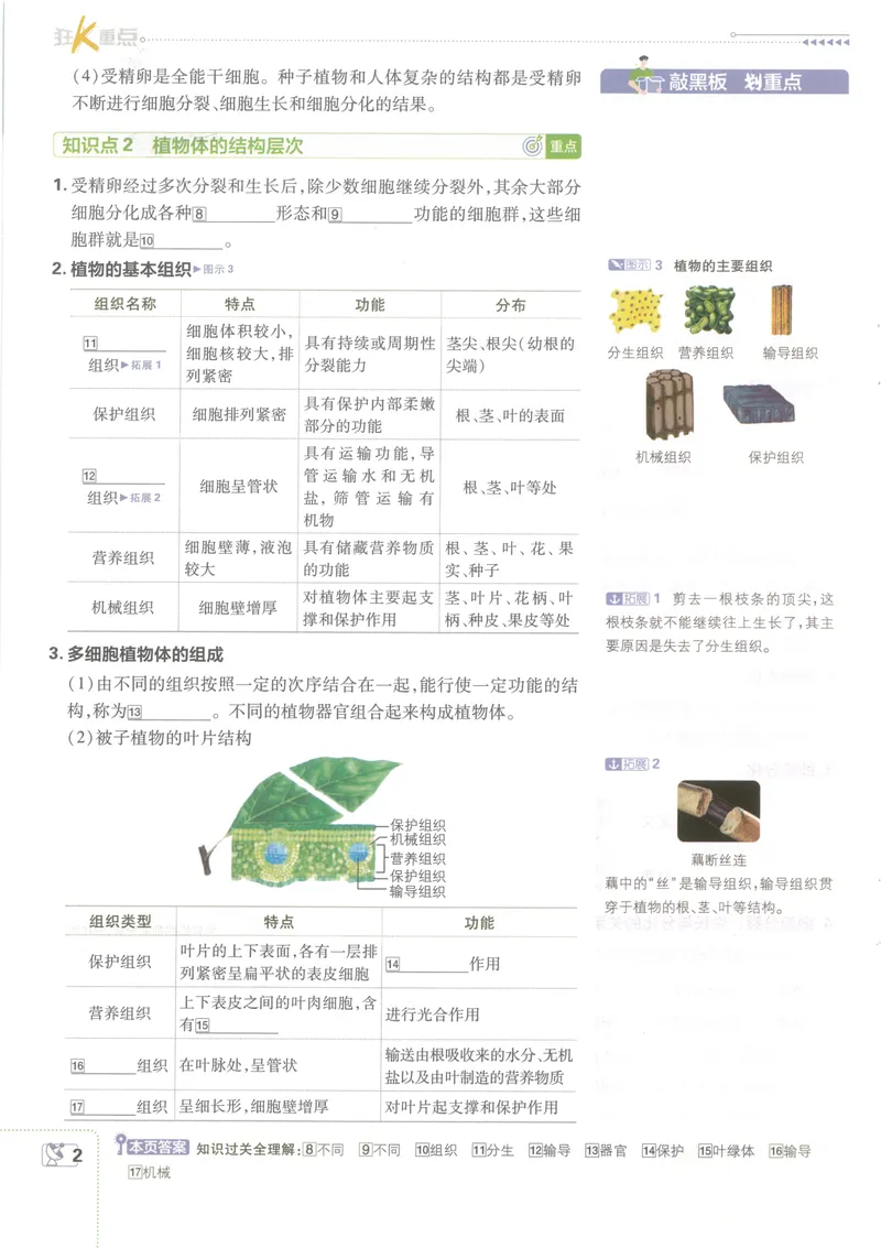 《必刷题7下-科学浙教版狂K重点_初中全科目同步习题+精品试卷(7-9年级)_25秋初中科学《同步习题+精品试卷》_《必刷题》》第5页预览