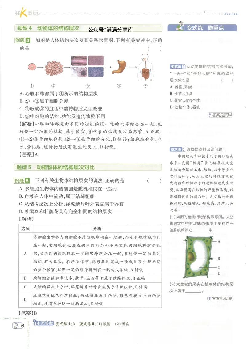 《必刷题7下-科学浙教版狂K重点_初中全科目同步习题+精品试卷(7-9年级)_25秋初中科学《同步习题+精品试卷》_《必刷题》》第9页预览