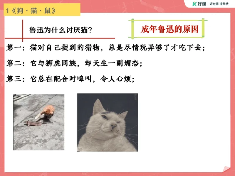 《02.课堂笔记主讲课中笔记_26初一网课_2026初一语文-金鸽-_2025初一秋上人文创作自主学习TY·A+（3期）-金鸽_02_易错题专项秋A+班TY-1》第6页预览