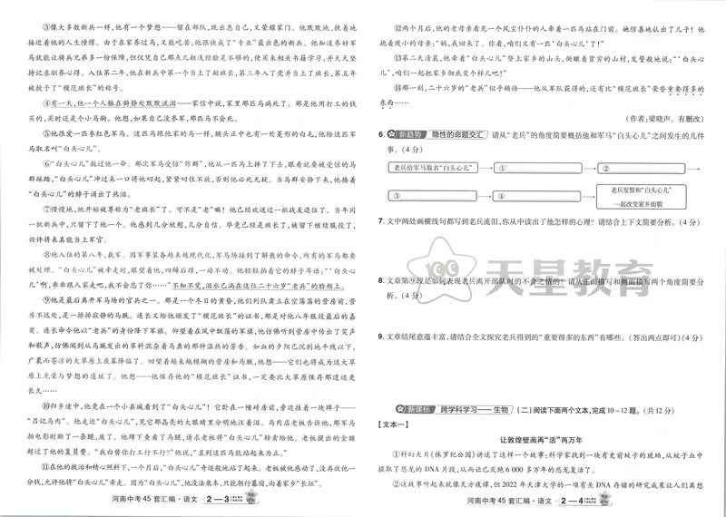 《2025河南中考45套-语文_2025版金考卷《45套中考试卷汇编》初中7科全（全国、各地多版本）_2025版金考卷《45套中考试卷汇编》初中语文、数学、英语、物理、化学（河南）》第10页预览