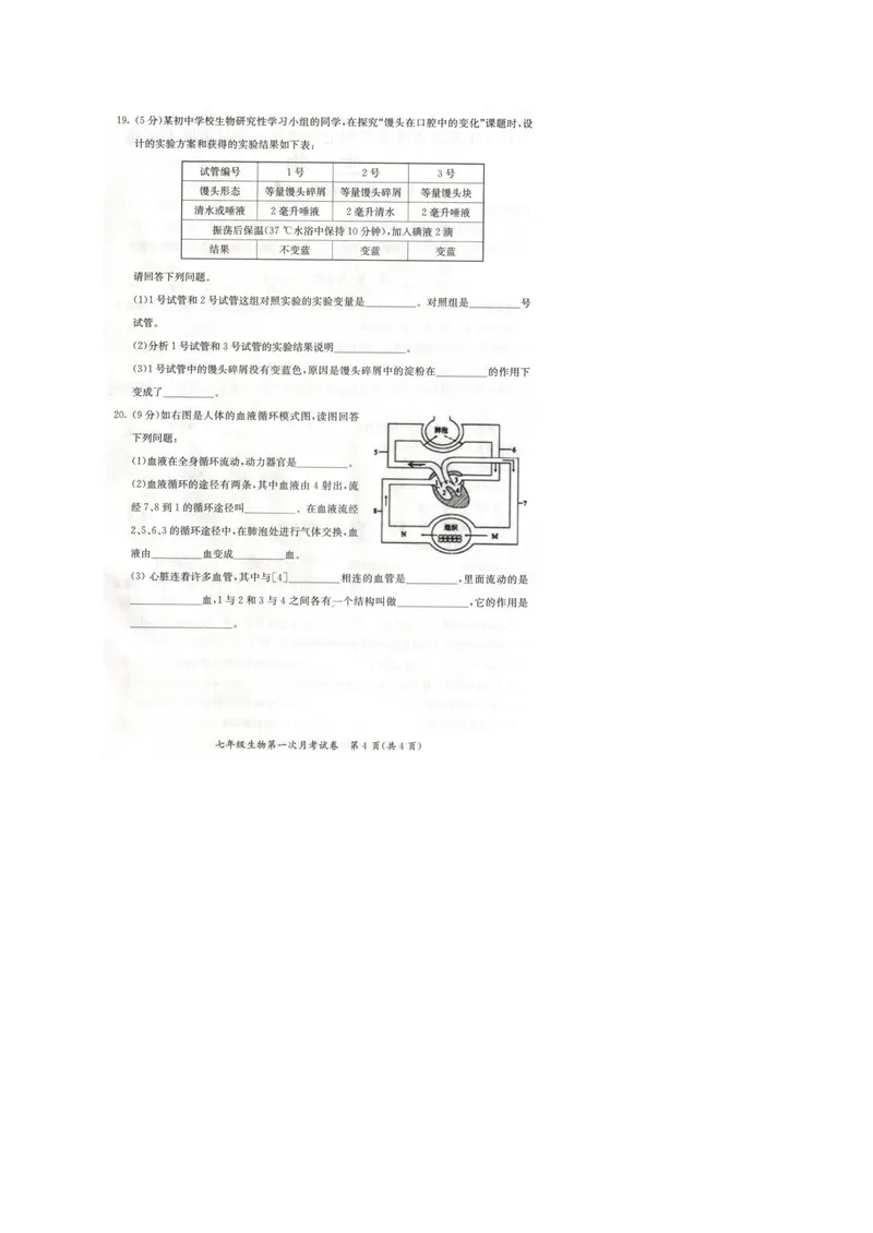 《广西来宾市2017-2018学年七年级下学期第一次联考生物试题（图片版）_初中全科目同步习题+精品试卷（7-9年级）_25秋初中生物《同步习题+精品试卷》_初中生物试卷（冀少版）_《真题试卷》》第4页预览
