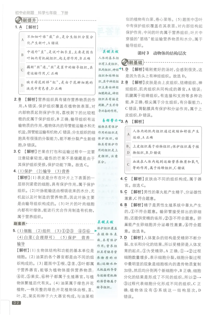 《必刷题7下-科学浙教版批注式详答与详析_初中全科目同步习题+精品试卷（7-9年级）_25秋初中科学《同步习题+精品试卷》_《必刷题》》第3页预览