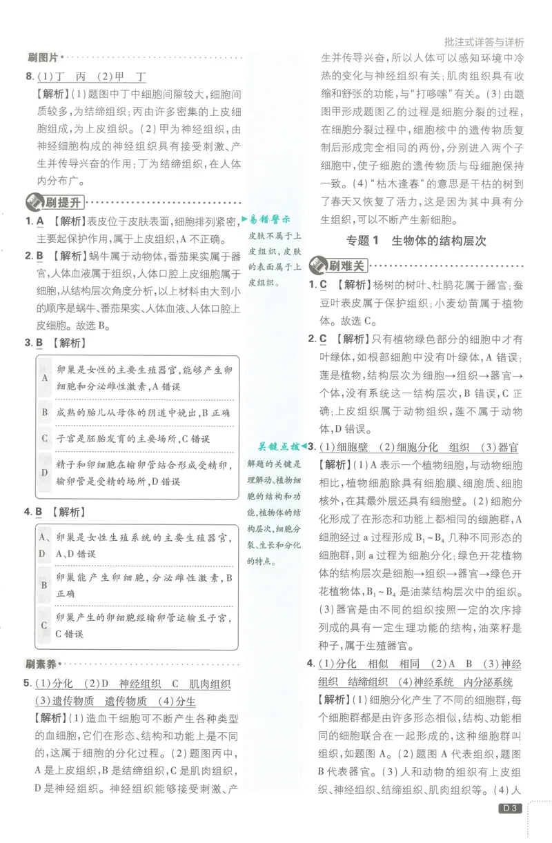 《必刷题7下-科学浙教版批注式详答与详析_初中全科目同步习题+精品试卷（7-9年级）_25秋初中科学《同步习题+精品试卷》_《必刷题》》第4页预览