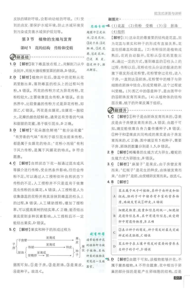 《必刷题7下-科学浙教版批注式详答与详析_初中全科目同步习题+精品试卷（7-9年级）_25秋初中科学《同步习题+精品试卷》_《必刷题》》第8页预览